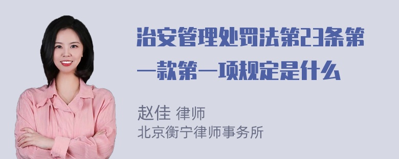 治安管理处罚法第23条第一款第一项规定是什么