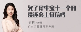 欠了犀牛宝十一个月没还会上征信吗