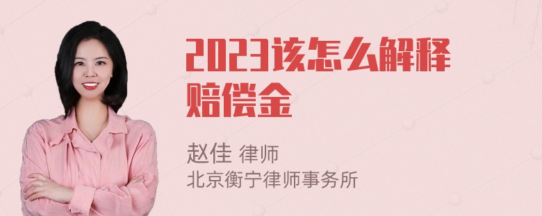 2023该怎么解释赔偿金