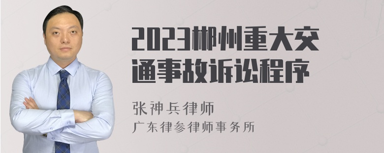 2023郴州重大交通事故诉讼程序