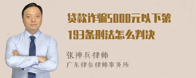 贷款诈骗5000元以下第193条刑法怎么判决