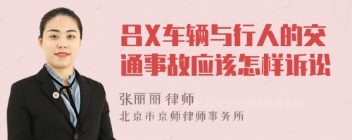 吕X车辆与行人的交通事故应该怎样诉讼