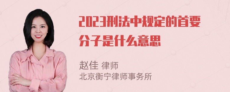 2023刑法中规定的首要分子是什么意思