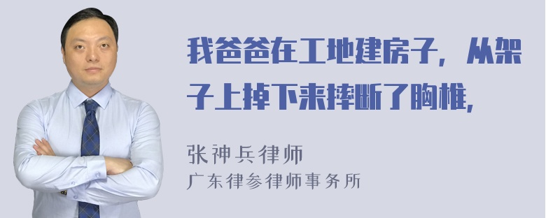 我爸爸在工地建房子，从架子上掉下来摔断了胸椎，