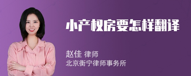 小产权房要怎样翻译