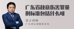 广东省故意伤害罪量刑标准包括什么呀