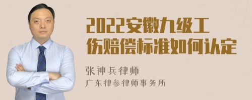 2022安徽九级工伤赔偿标准如何认定