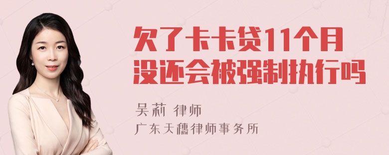 欠了卡卡贷11个月没还会被强制执行吗