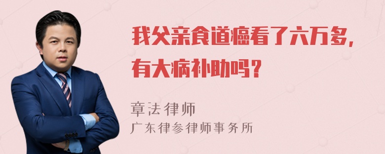 我父亲食道癌看了六万多，有大病补助吗？