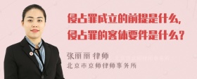 侵占罪成立的前提是什么，侵占罪的客体要件是什么？