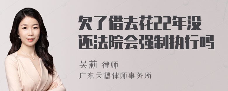 欠了借去花22年没还法院会强制执行吗