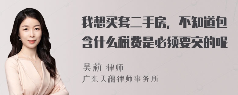 我想买套二手房，不知道包含什么税费是必须要交的呢