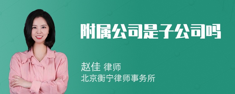 附属公司是子公司吗