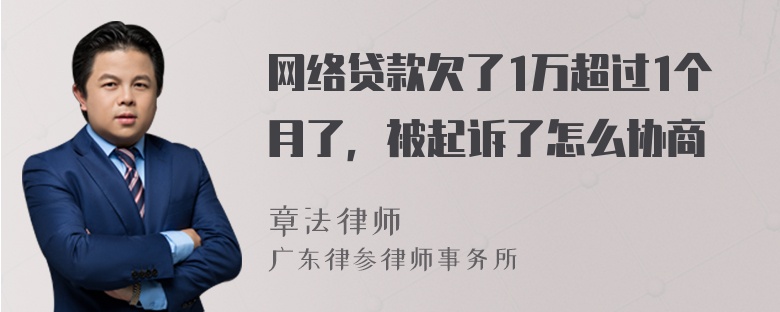 网络贷款欠了1万超过1个月了，被起诉了怎么协商