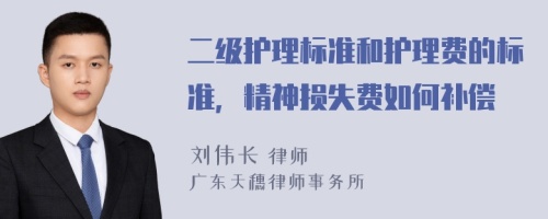 二级护理标准和护理费的标准，精神损失费如何补偿