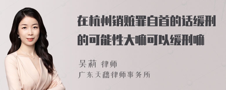 在杭州销赃罪自首的话缓刑的可能性大嘛可以缓刑嘛