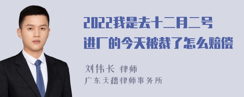 2022我是去十二月二号进厂的今天被裁了怎么赔偿