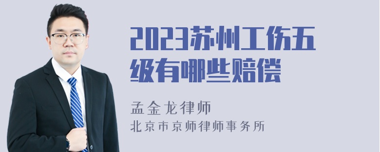 2023苏州工伤五级有哪些赔偿