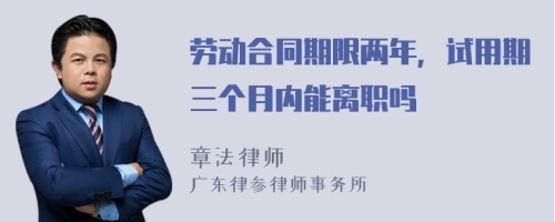 劳动合同期限两年，试用期三个月内能离职吗