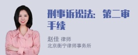 刑事诉讼法：第二审手续