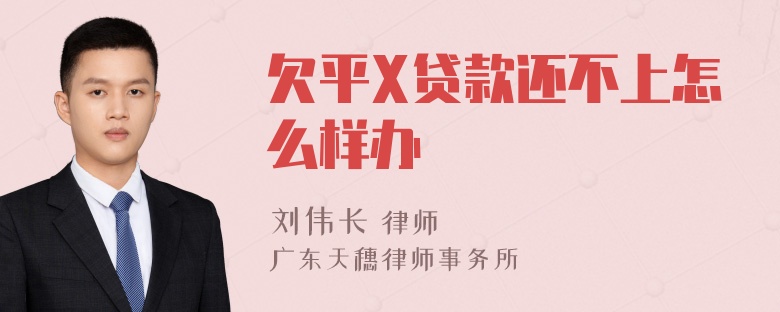 欠平X贷款还不上怎么样办