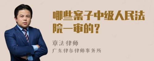 哪些案子中级人民法院一审的？