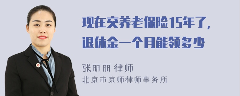 现在交养老保险15年了，退休金一个月能领多少