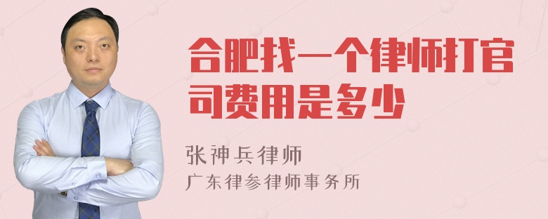 合肥找一个律师打官司费用是多少