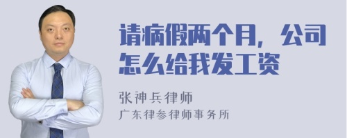 请病假两个月，公司怎么给我发工资