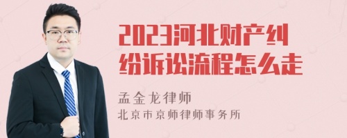 2023河北财产纠纷诉讼流程怎么走