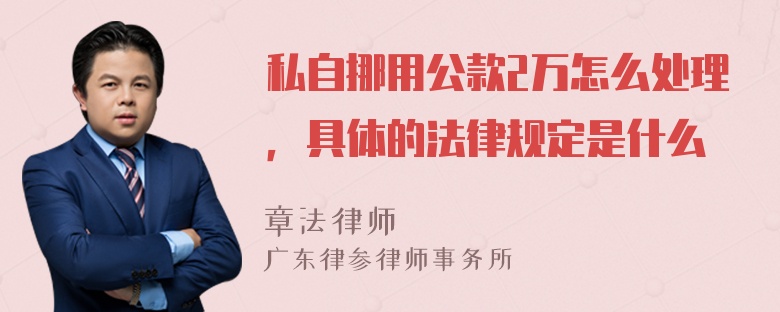 私自挪用公款2万怎么处理，具体的法律规定是什么