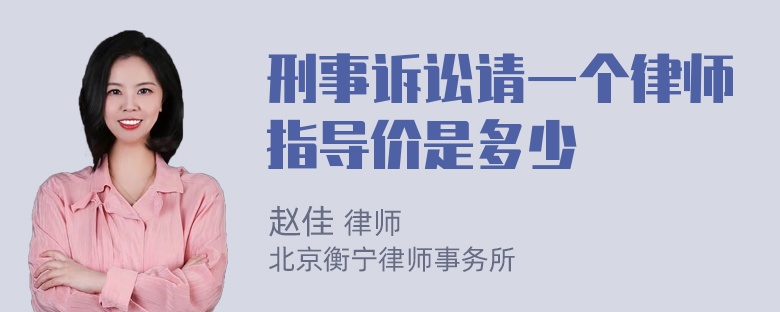 刑事诉讼请一个律师指导价是多少