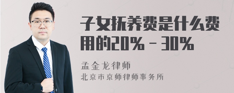 子女抚养费是什么费用的20％－30％