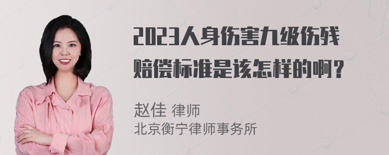 2023人身伤害九级伤残赔偿标准是该怎样的啊？