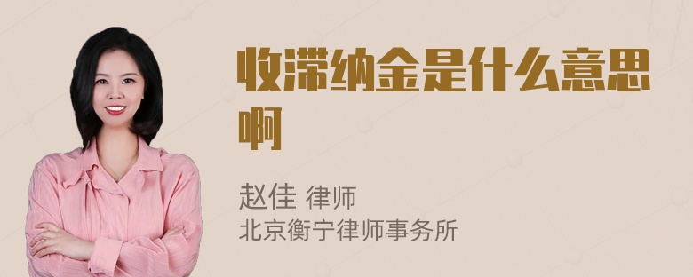 收滞纳金是什么意思啊