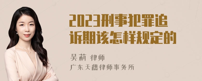 2023刑事犯罪追诉期该怎样规定的