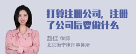 打算注册公司，注册了公司后要做什么