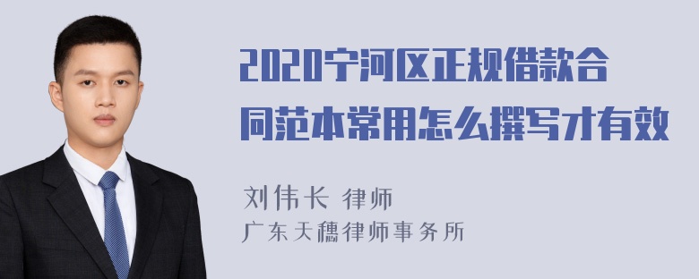 2020宁河区正规借款合同范本常用怎么撰写才有效