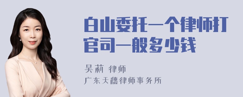 白山委托一个律师打官司一般多少钱