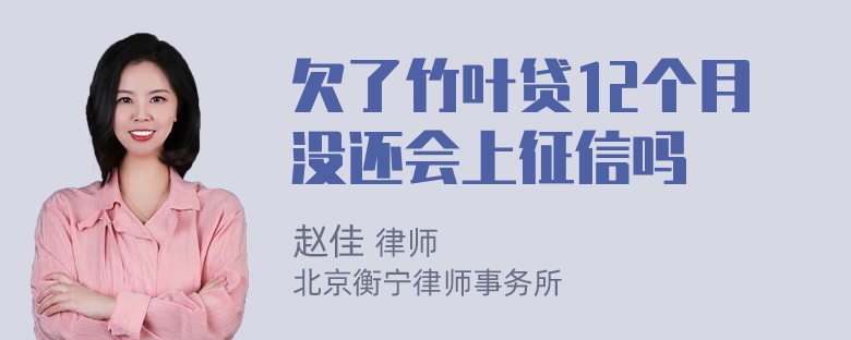 欠了竹叶贷12个月没还会上征信吗