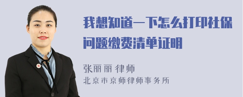 我想知道一下怎么打印社保问题缴费清单证明