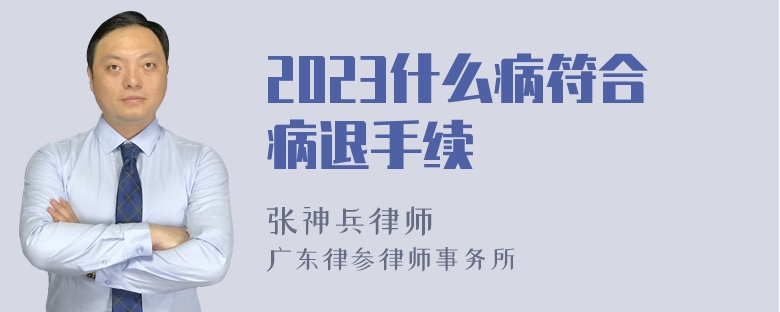 2023什么病符合病退手续