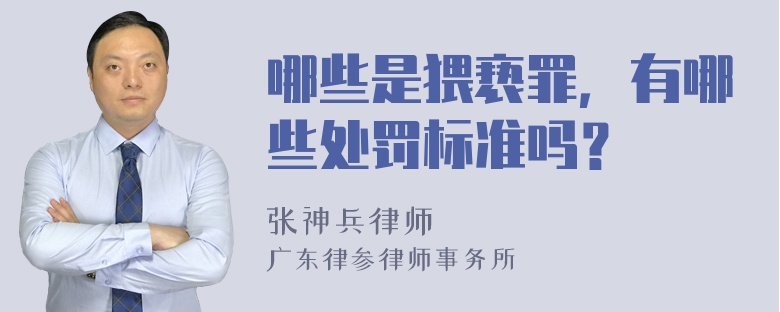 哪些是猥亵罪，有哪些处罚标准吗？