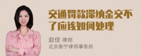 交通罚款滞纳金交不了应该如何处理