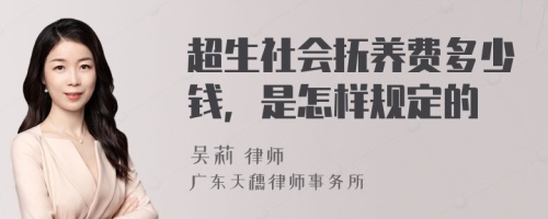 超生社会抚养费多少钱，是怎样规定的