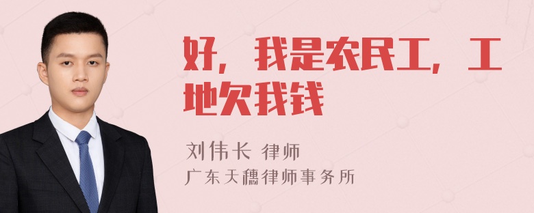 好，我是农民工，工地欠我钱