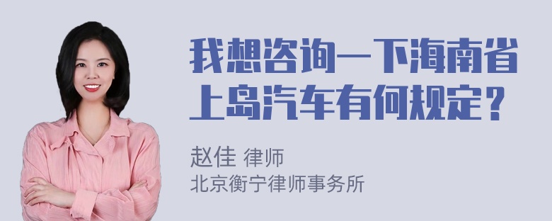 我想咨询一下海南省上岛汽车有何规定？