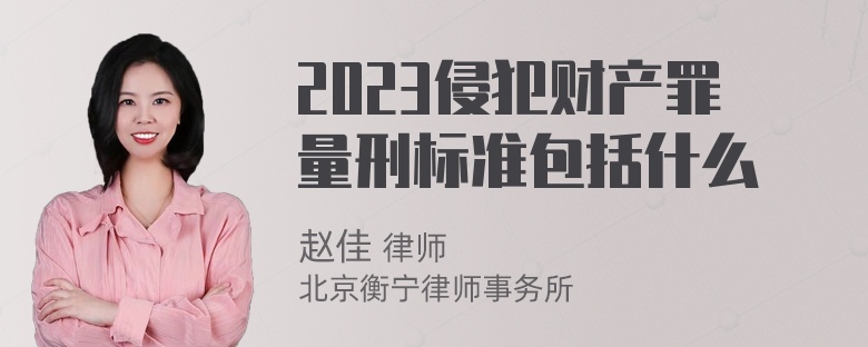 2023侵犯财产罪量刑标准包括什么