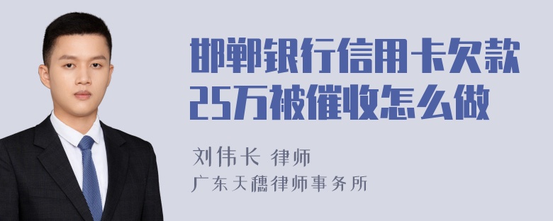 邯郸银行信用卡欠款25万被催收怎么做