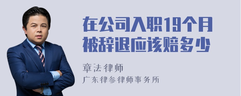 在公司入职19个月被辞退应该赔多少